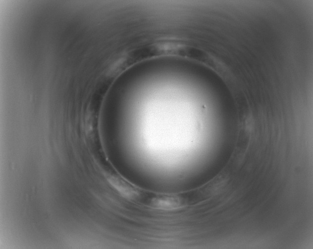 X0000082740567200701261444