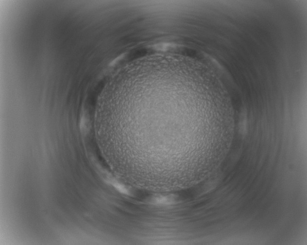 X0000082740569200701261444