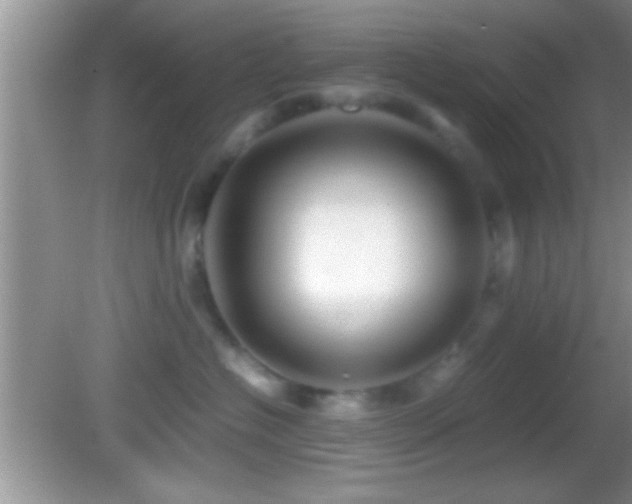 X0000082740574200701261444