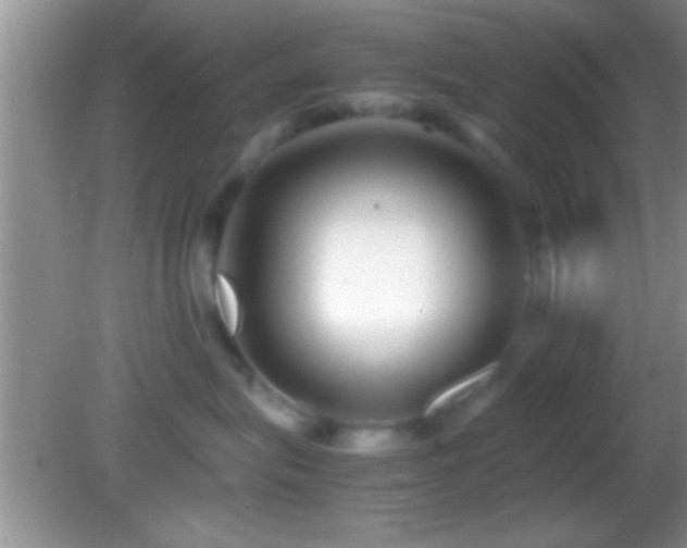 X0000082740575200701261444