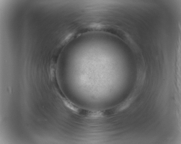 X0000082740576200701261444