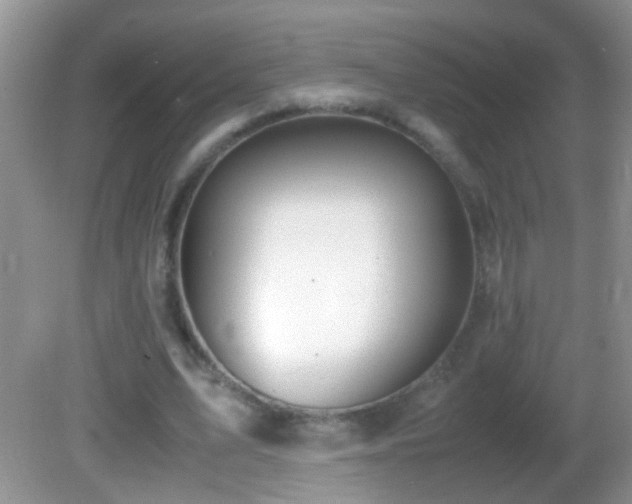 X0000082740583200701261443