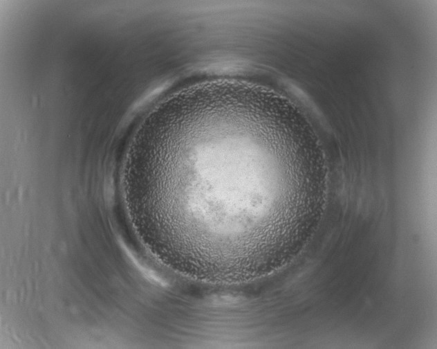 X0000082740586200701261443