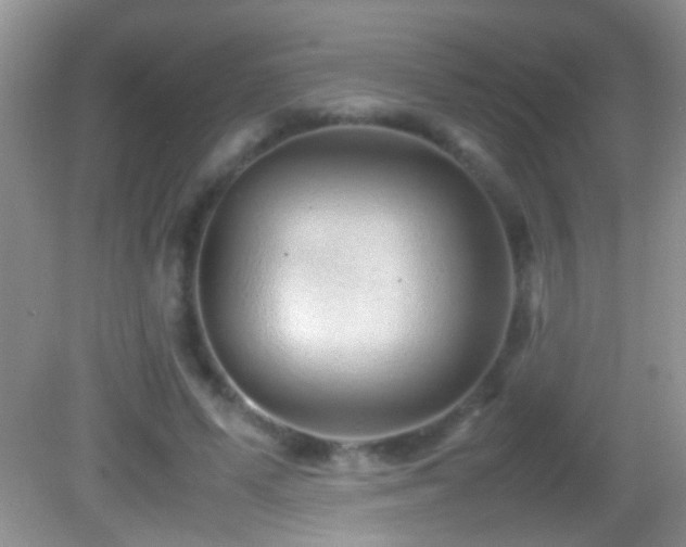X0000082740591200701261443