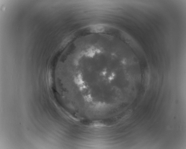 X0000082740598200701261443