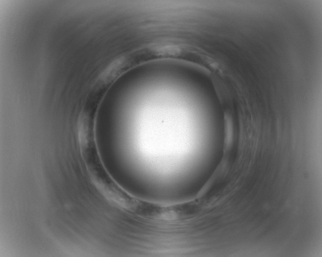 X0000082740600200701261443