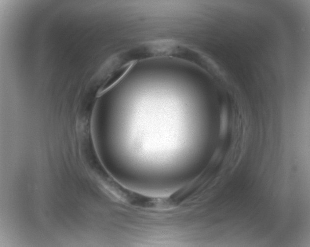 X0000082740601200701261443