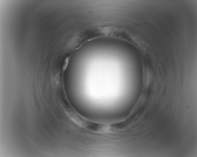 X0000082740611200701261443