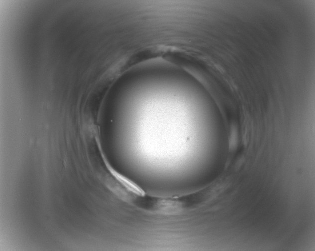 X0000082740617200701261443