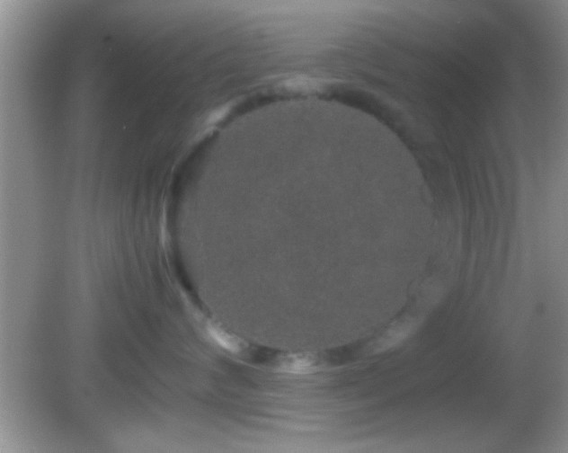 X0000082740624200701261443