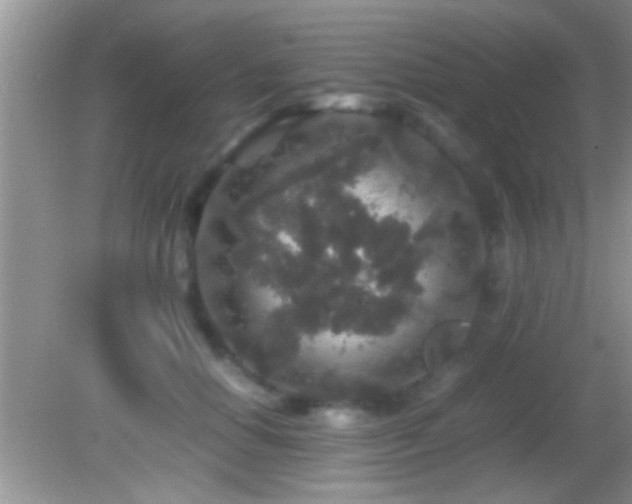 X0000082740654200701261442