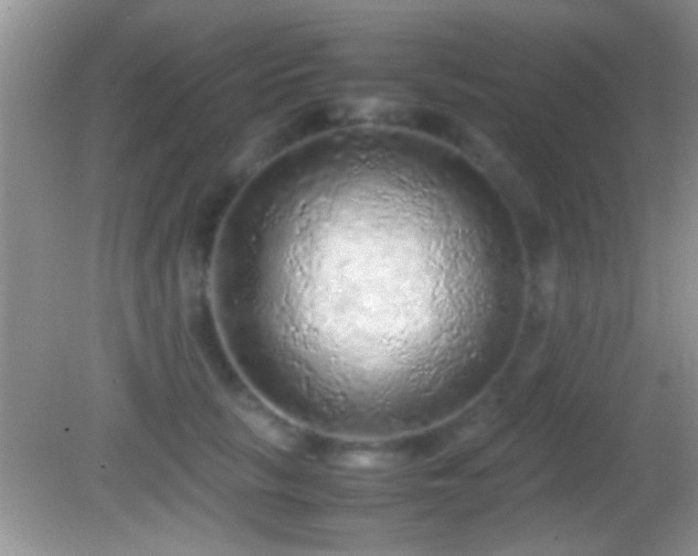X0000082740657200701261442