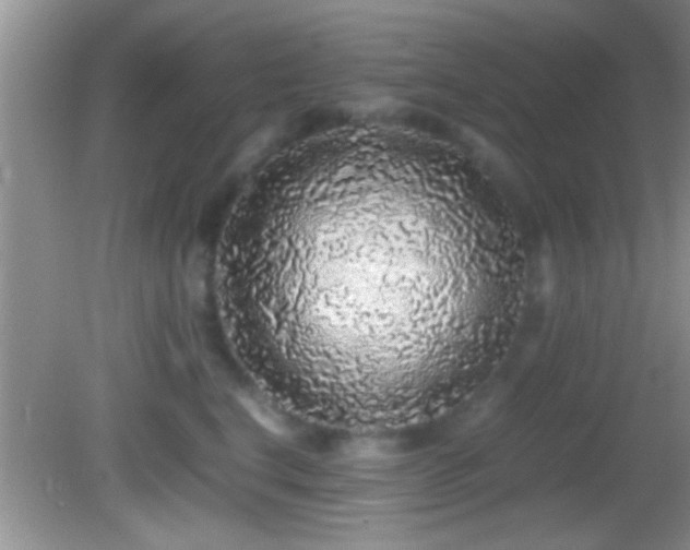 X0000082740664200701261443
