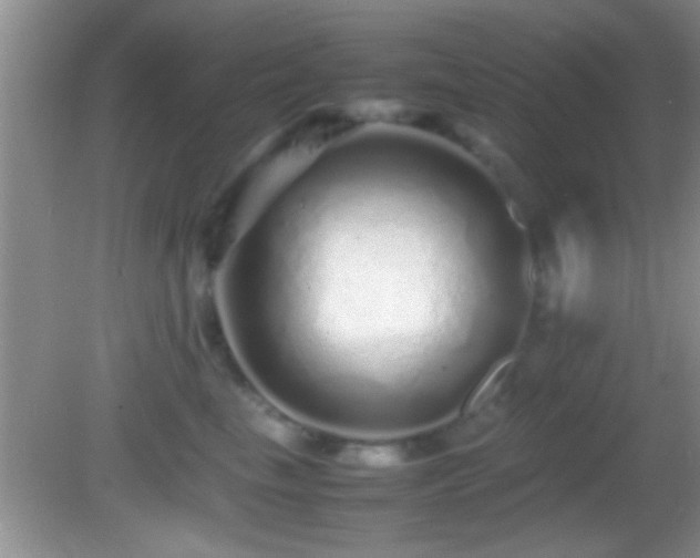 X0000082740665200701261443