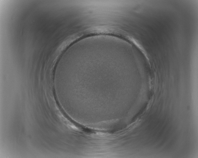 X0000082740673200701261442