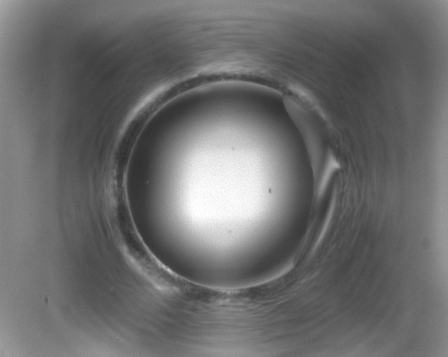 X0000082740680200701261442