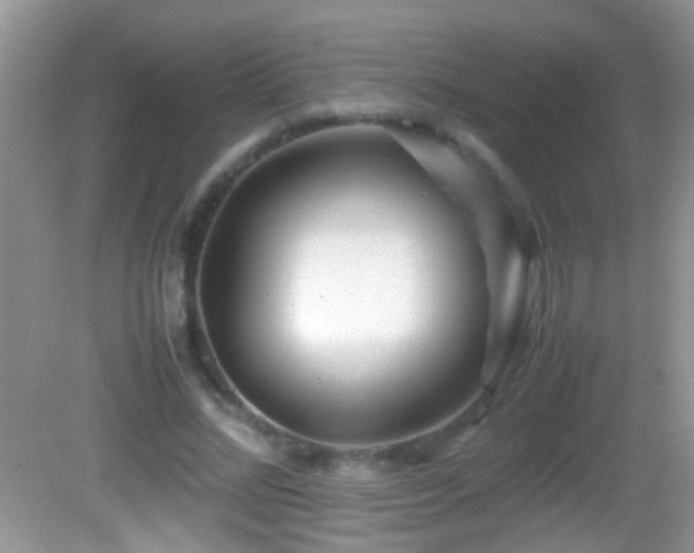 X0000082740684200701261442