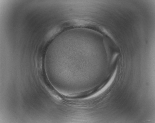 X0000082740685200701261442