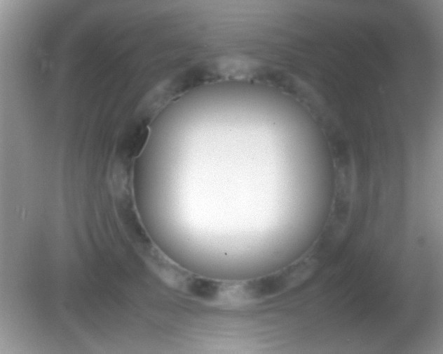 X0000082740705200701261441