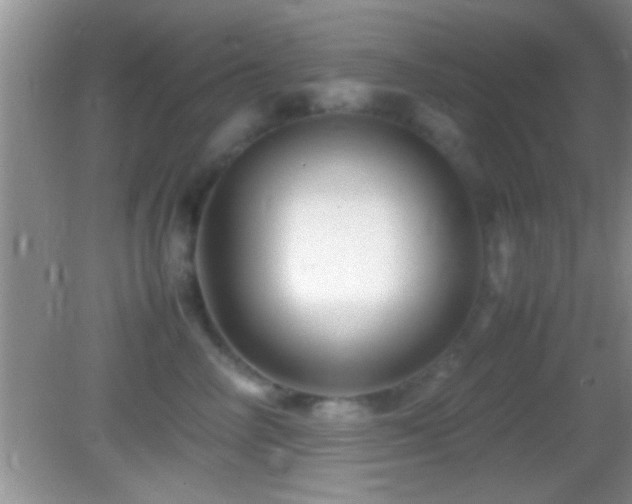 X0000082740714200701261441
