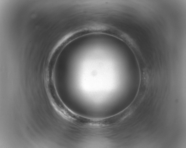 X0000082740726200701261440