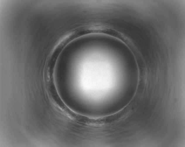 X0000082740731200701261440