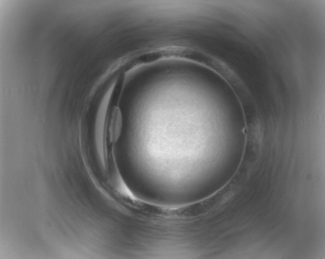 X0000082740734200701261441
