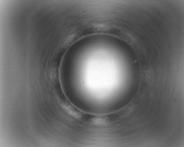 X0000082740756200701261441