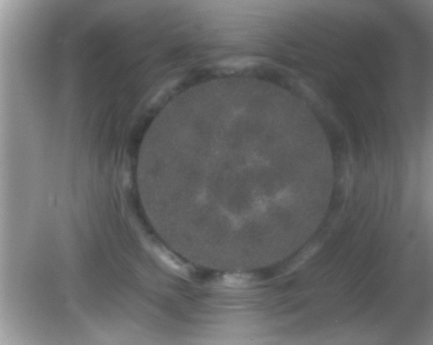 X0000082740758200701261441