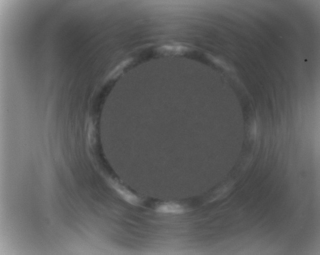 X0000082740759200701261441