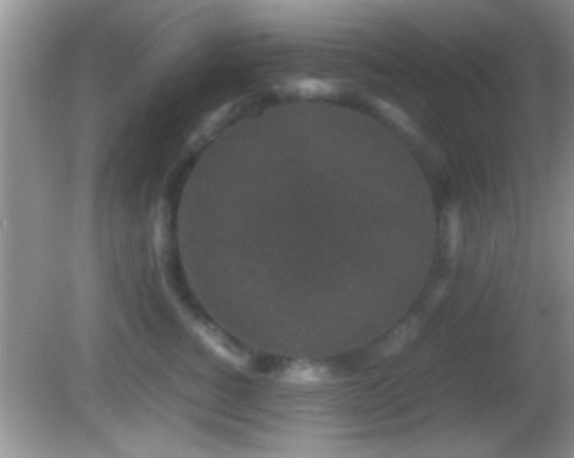 X0000082740760200701261441