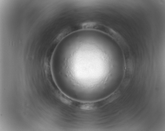 X0000082740761200701261441
