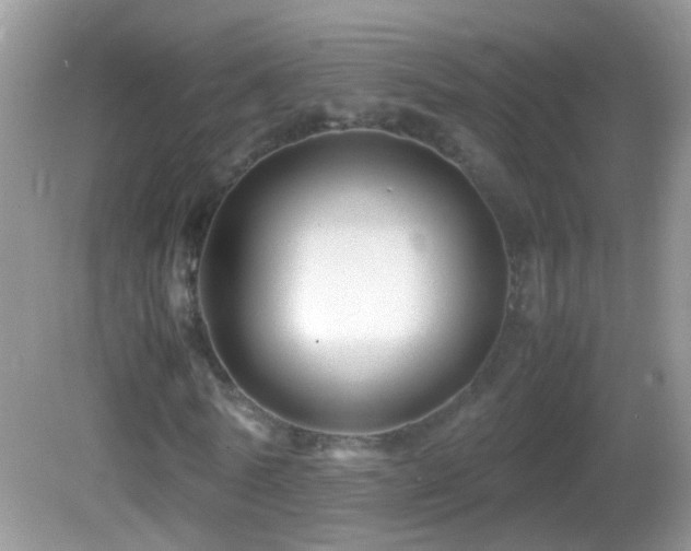 X0000082740770200701261440