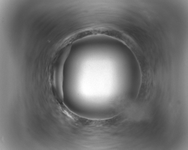 X0000082740773200701261440