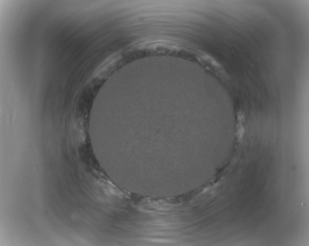 X0000082740774200701261440