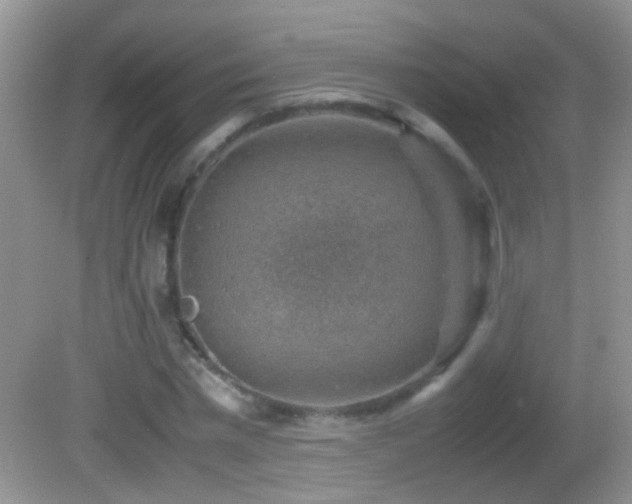 X0000082740777200701261440
