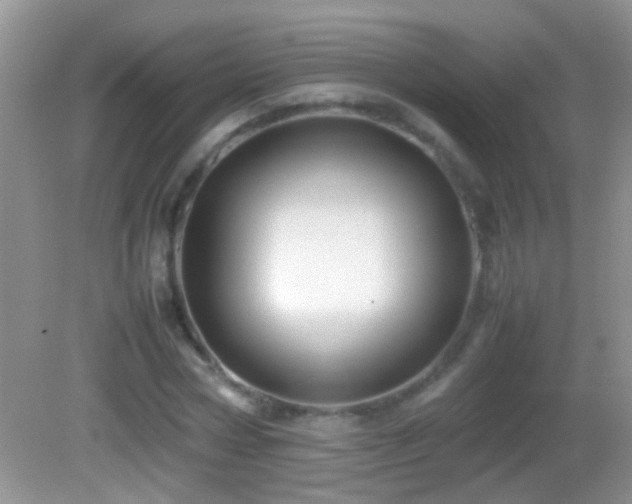 X0000082740778200701261440