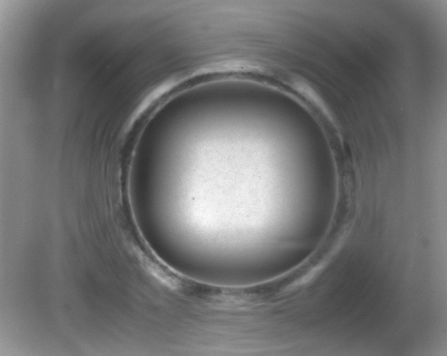 X0000082740781200701261440