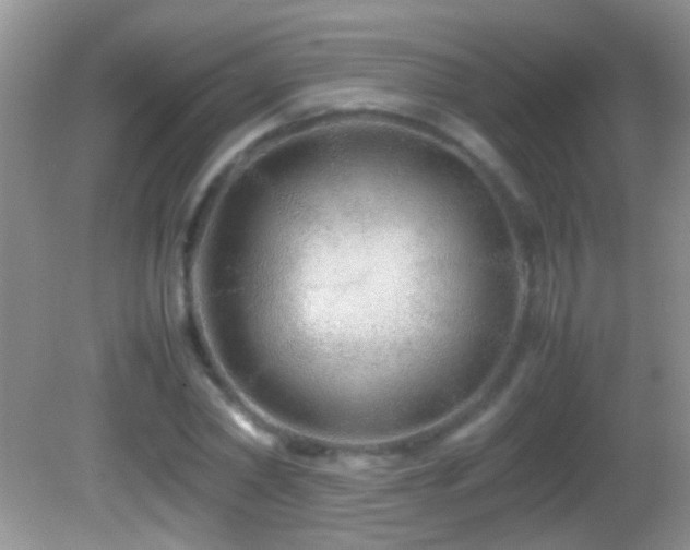 X0000082740782200701261440