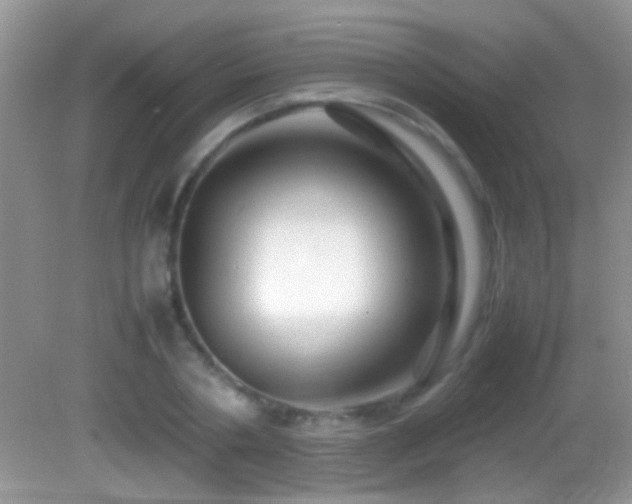 X0000082740786200701261440