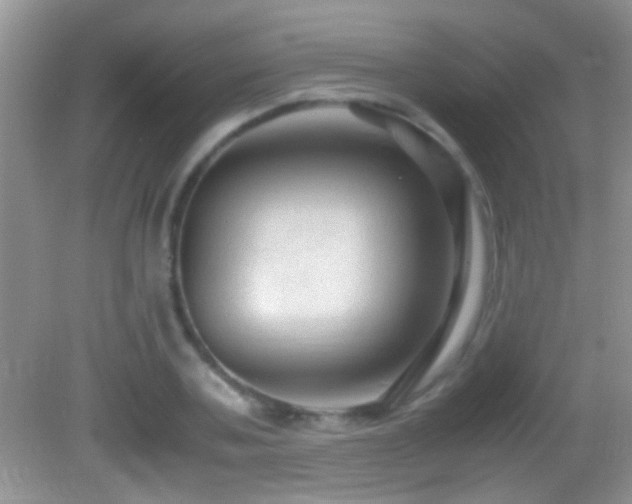 X0000082740787200701261440