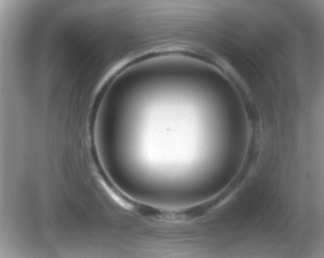 X0000082740789200701261440