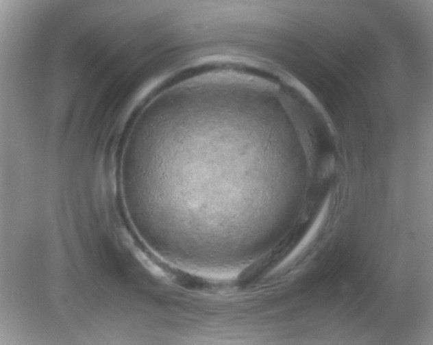 X0000082740791200701261440