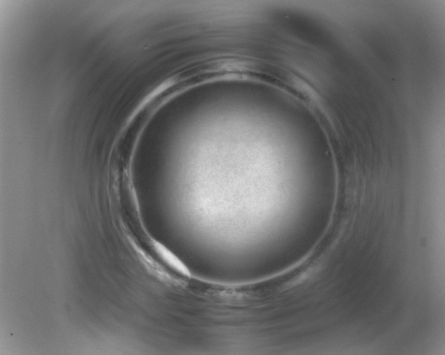 X0000082740827200701261439
