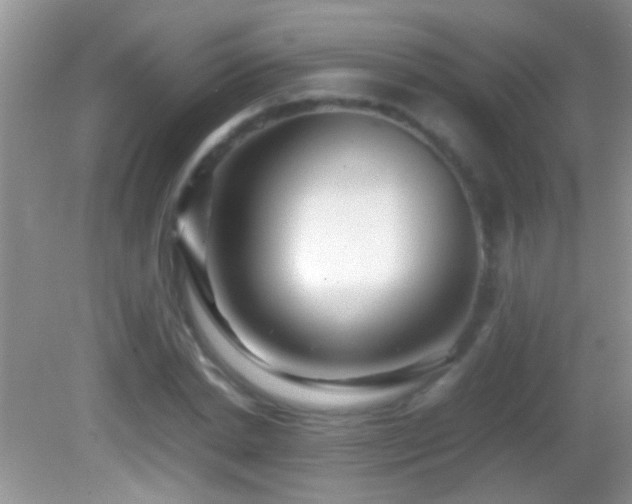 X0000082740830200701261439