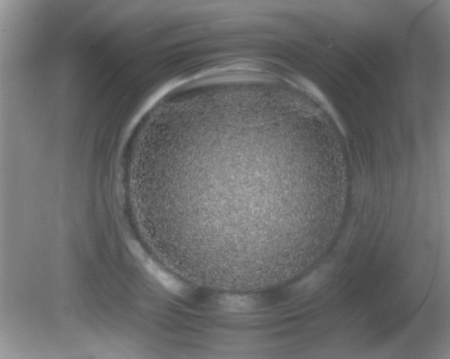 X0000082740835200701261439