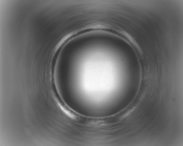 X0000082740837200701261439