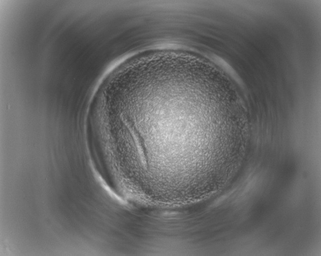 X0000082740839200701261439