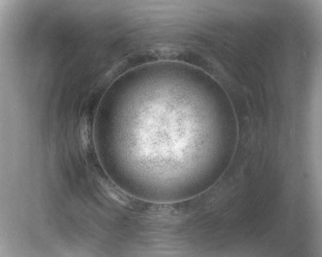 X0000082740866200701261439