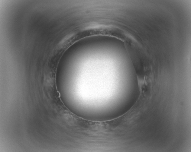 X0000082740869200701261439